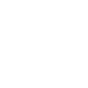 Icon (1)