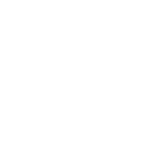 Icon (2)