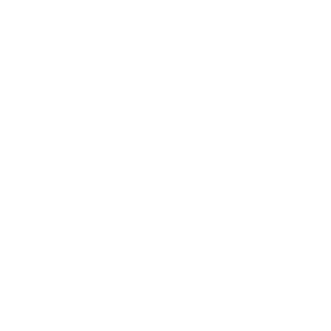 Icon (5)